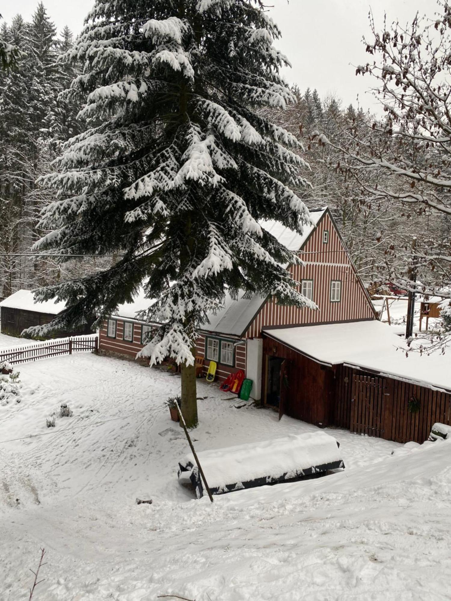 Sarka Dolni Dvur